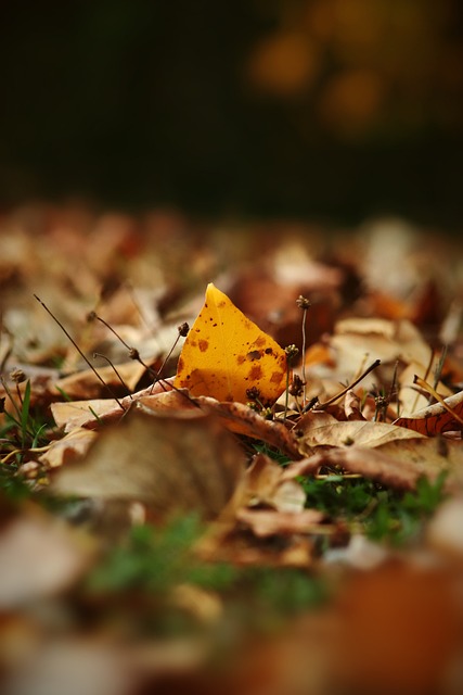 他是全队最放心的点